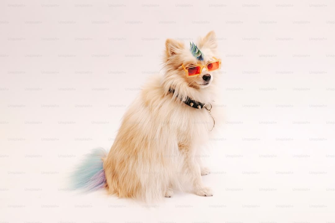 《献鱼》原著神交是什么意思？